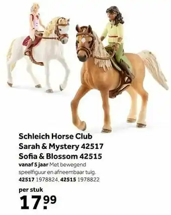 Schleich horse club sarah + mystery 42517
