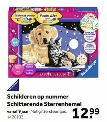 Schilderen op nummer schitterende sterrenhemel