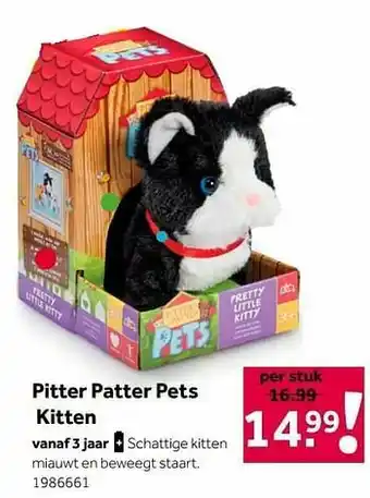 Pitter patter pets kitten