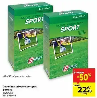 Gazonherstel voor sportgras somers