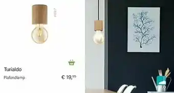 Turialdo plafondlamp