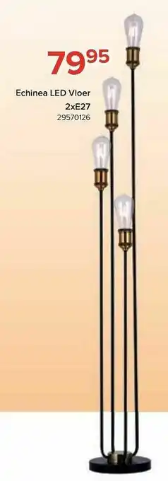 Euroshop Echinea led vloer aanbieding
