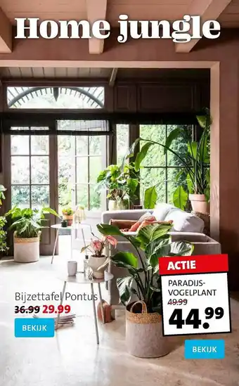 Intratuin Bijzettafel Pontus, Paradijs-vogelplant aanbieding