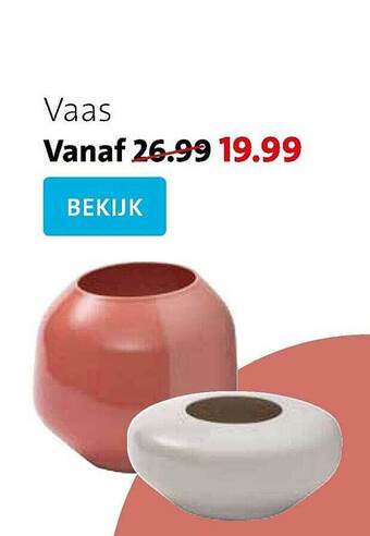 Intratuin Vaas aanbieding