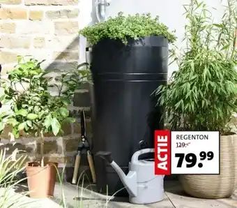 REGENTON