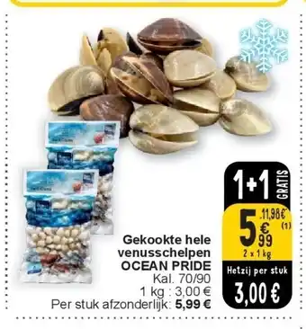 Cora Gekookte hele venusschelpen OCEAN PRIDE aanbieding