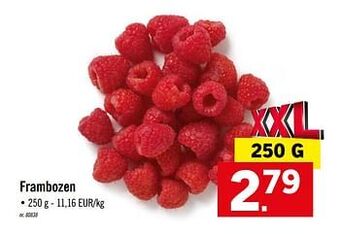 Lidl Frambozen aanbieding