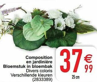 Cora Composition en jardinière bloemstuk in bloembak aanbieding