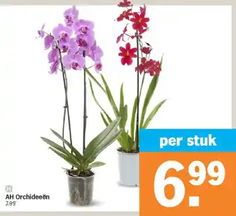 Albert Heijn AH Orchideeën aanbieding
