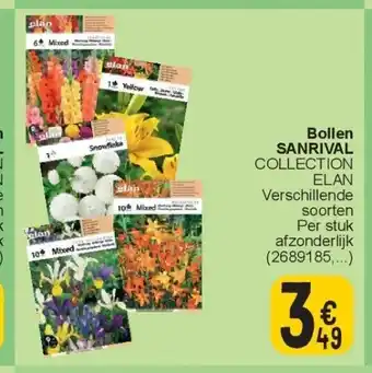 Cora Bollen SANRIVAL aanbieding