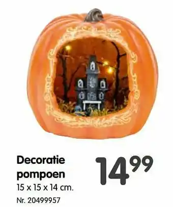 Fun Decoratie pompoen aanbieding