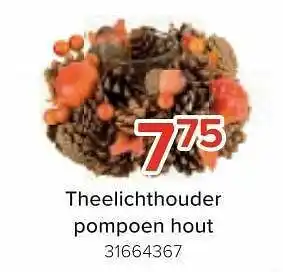 Euroshop Theelichthouder pompoen hout aanbieding