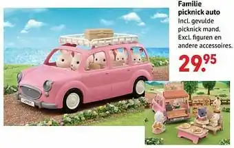 Familie picknick auto