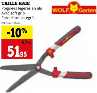 Dema TAILLE HAIE aanbieding