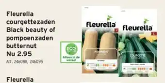 Fleurella courgettezaden Black beauty of pompoenzaden butternut