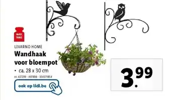 Lidl Wandhaak voor bloempot aanbieding