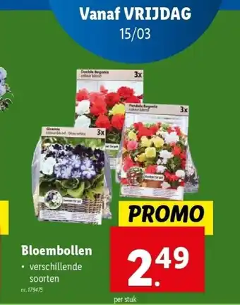 Lidl Bloembollen aanbieding