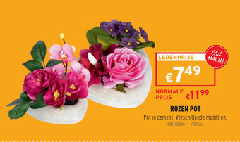 Trafic Rozen Pot aanbieding