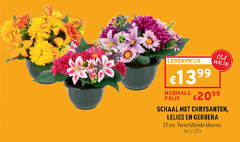 Trafic Schaal Met Chrysanten, Lelies en Gerbera aanbieding