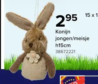 Euroshop Konijn jongen/meisje h15cm aanbieding