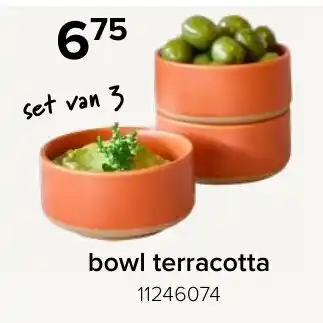 Euroshop Bowl terracotta aanbieding