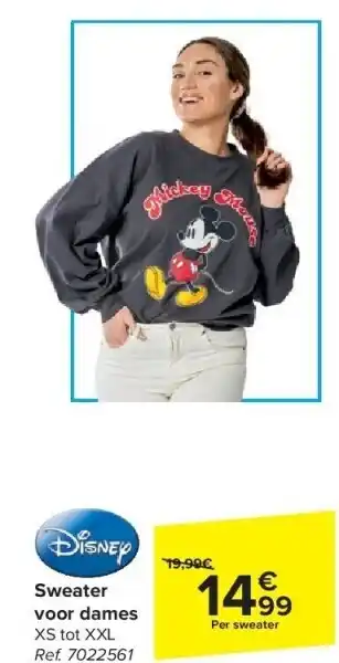 Carrefour Sweater voor dames aanbieding