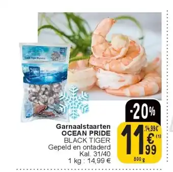 Cora Garnaalstaarten OCEAN PRIDE aanbieding