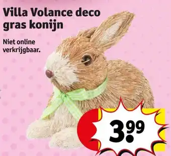 Kruidvat Villa Volance deco gras konijn aanbieding