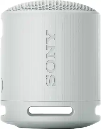 Coolblue Sony SRS-XB100 Grijs aanbieding