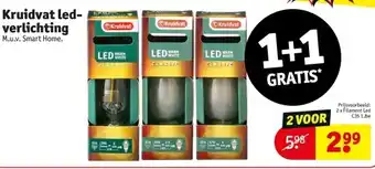 Kruidvat Kruidvat ledverlichting aanbieding