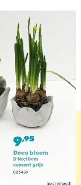Happyland Deco bloem D16x10cm cement grijs aanbieding