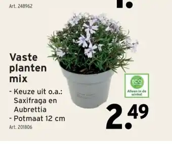 GAMMA Vaste planten mix aanbieding