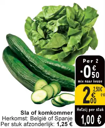 Cora Sla of komkommer aanbieding