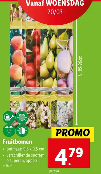 Fruitbomen