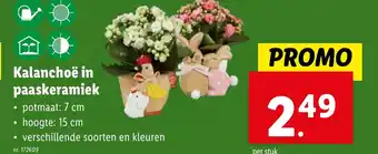 Kalanchoë in paaskeramiek