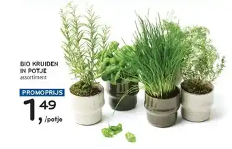 Alvo BIO KRUIDEN IN POTJE aanbieding