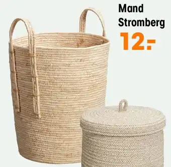 Kwantum Mand Stromberg aanbieding