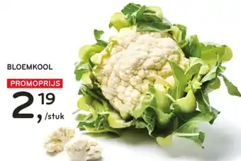 Alvo BLOEMKOOL aanbieding