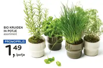 Alvo BIO KRUIDEN IN POTJE assortiment aanbieding