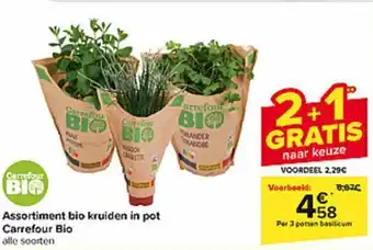 Assortiment bio kruiden in pot Carrefour Bio