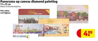 Kruidvat Panorama op canvas diamond painting aanbieding