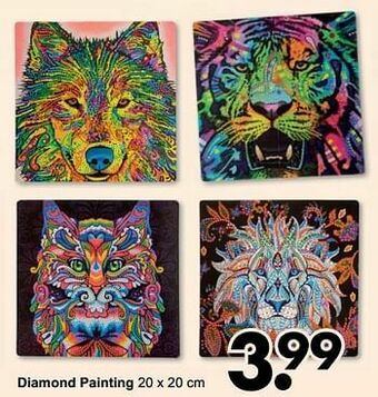 Wibra Diamond painting aanbieding