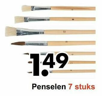Wibra Penselen aanbieding