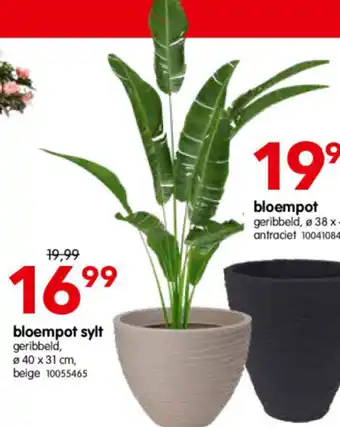 Yess Bloempot sylt geribbeld, 40 x 31 cm, beige aanbieding