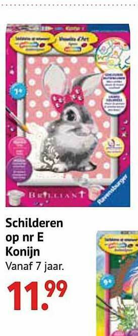 De Kinderplaneet Schilderen Op Nr E Konijn aanbieding