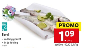 Lidl Forel aanbieding