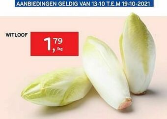 Alvo Witloof aanbieding