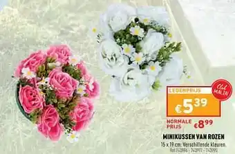 Trafic Minikussen van rozen aanbieding
