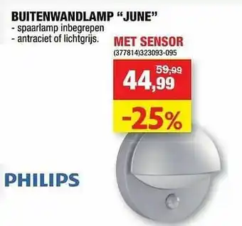 Hubo Buitenwandlamp june met sensor aanbieding