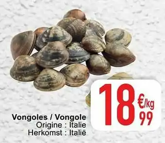 Cora Vongoles - vongole aanbieding